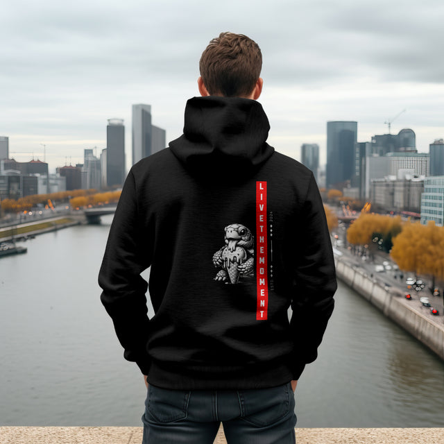 Premium Hoodie Turtle Moment